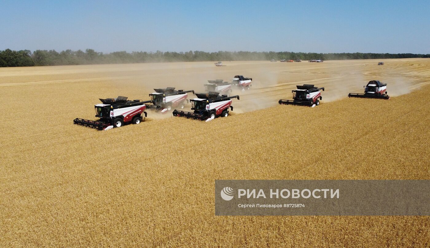 Сбор урожая пшеницы в Ростовской области