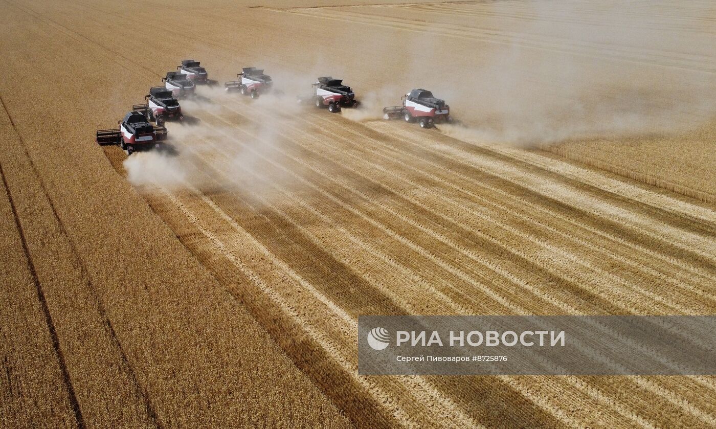 Сбор урожая пшеницы в Ростовской области