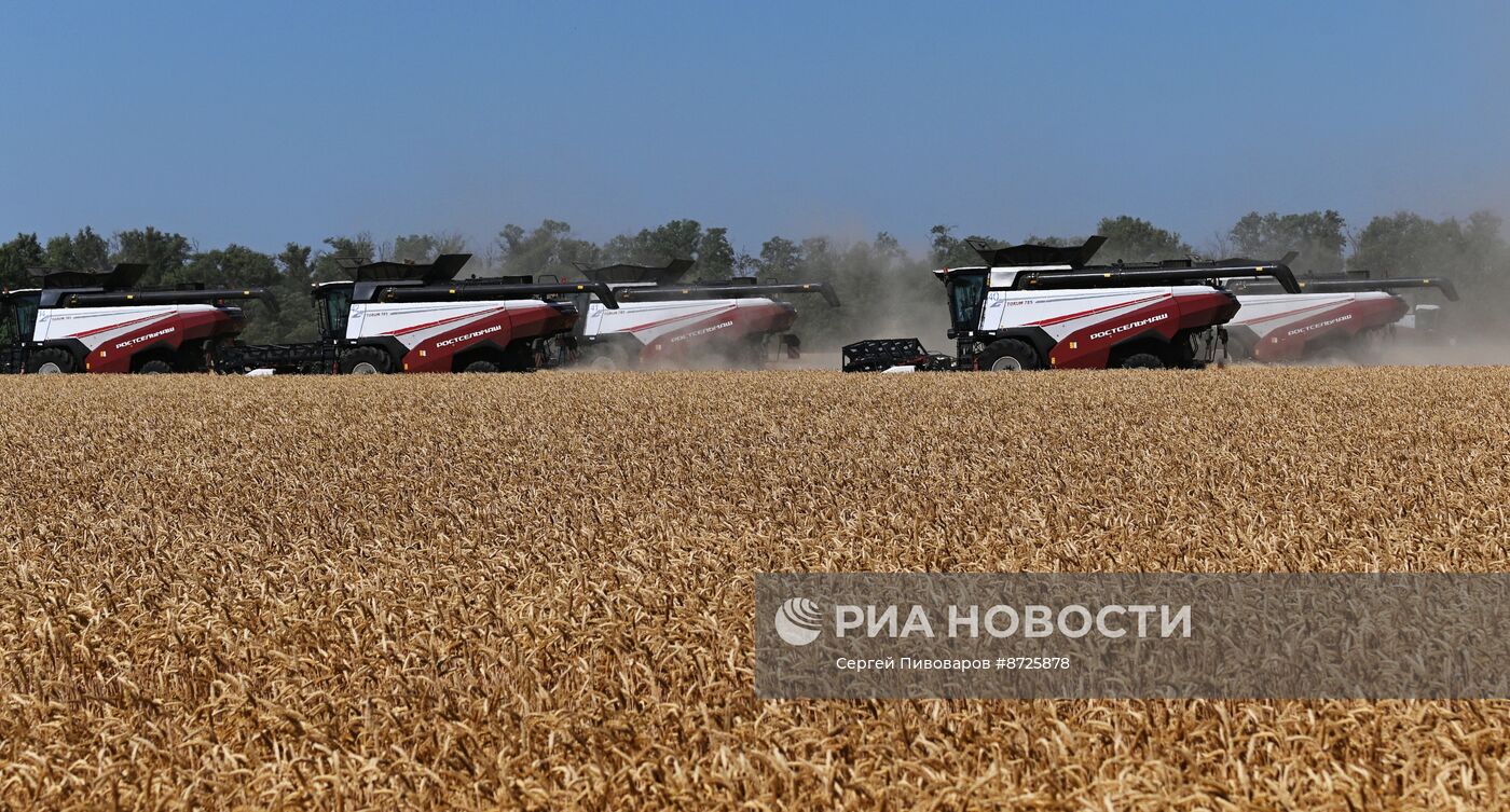 Сбор урожая пшеницы в Ростовской области