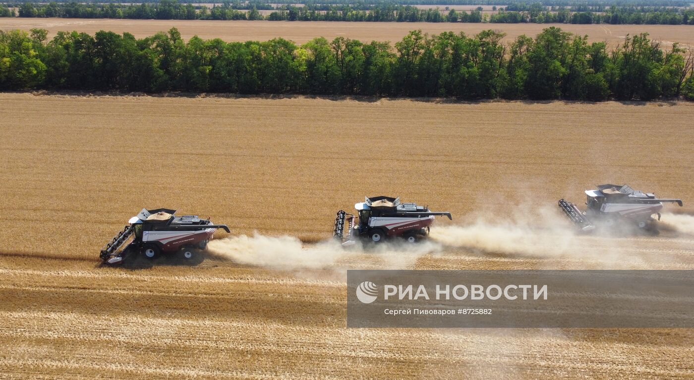 Сбор урожая пшеницы в Ростовской области