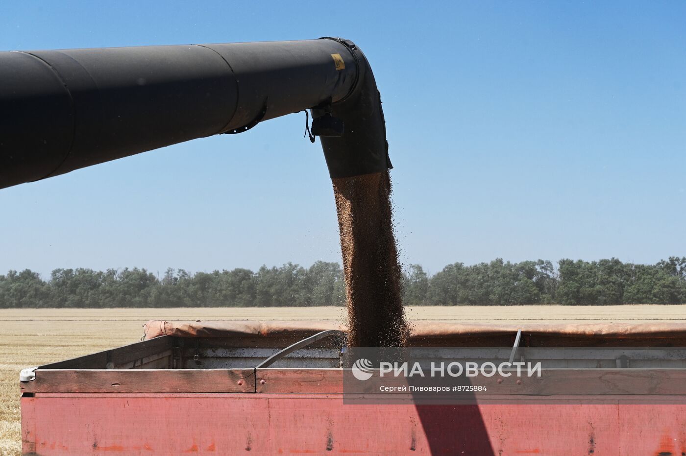 Сбор урожая пшеницы в Ростовской области