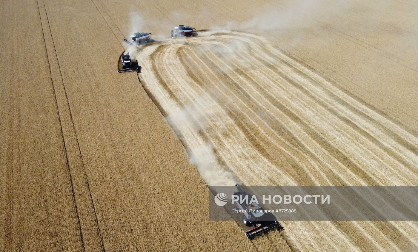 Сбор урожая пшеницы в Ростовской области