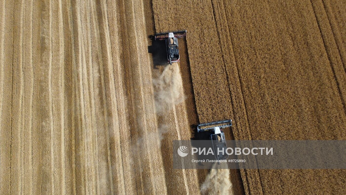 Сбор урожая пшеницы в Ростовской области