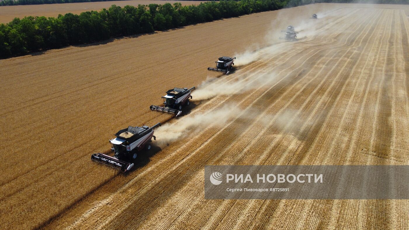 Сбор урожая пшеницы в Ростовской области