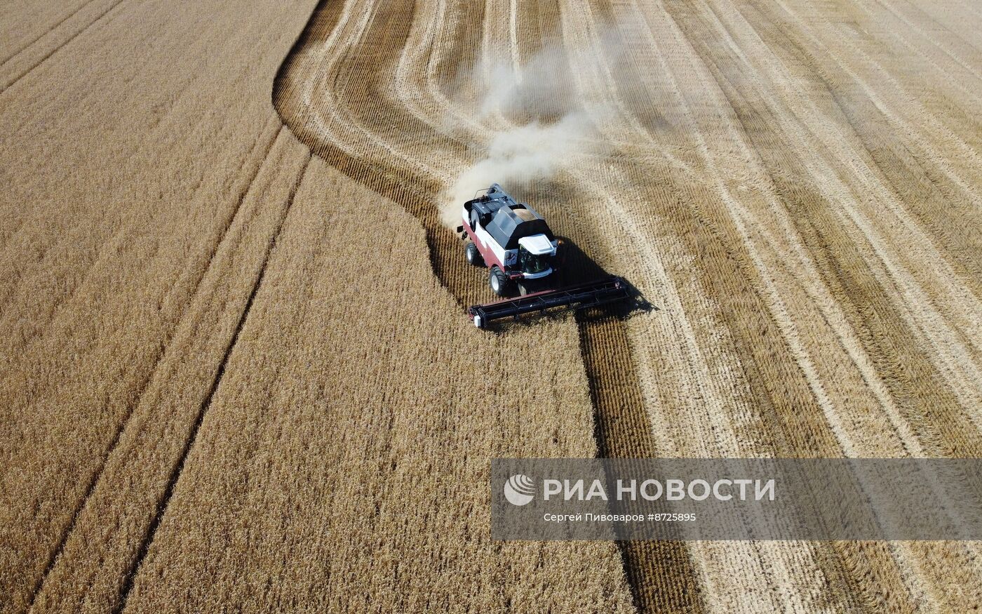 Сбор урожая пшеницы в Ростовской области Сбор урожая пшеницы в Ростовской области