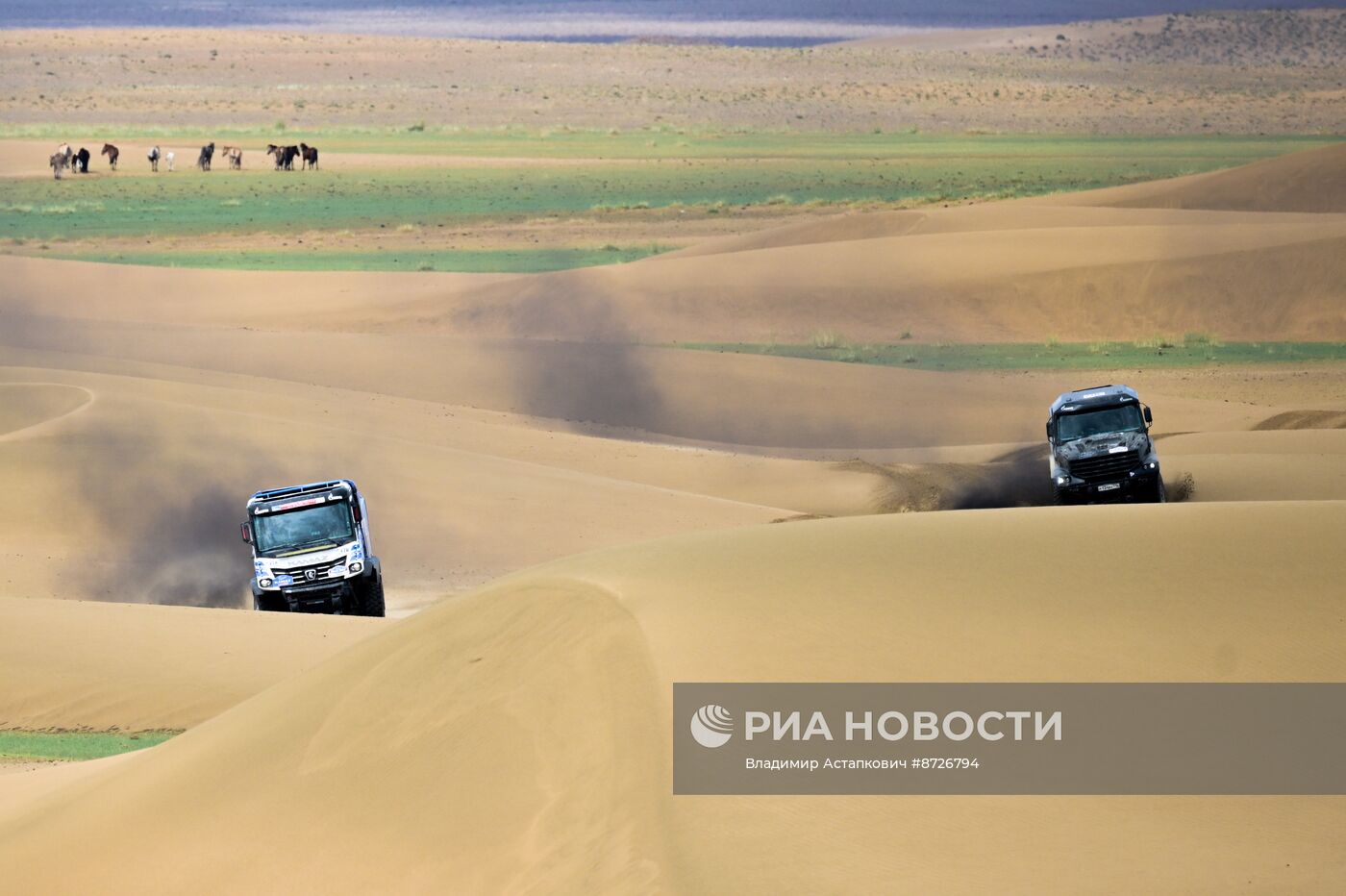 Ралли "Шёлковый путь"