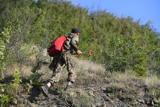 Лесной пожар в Крыму