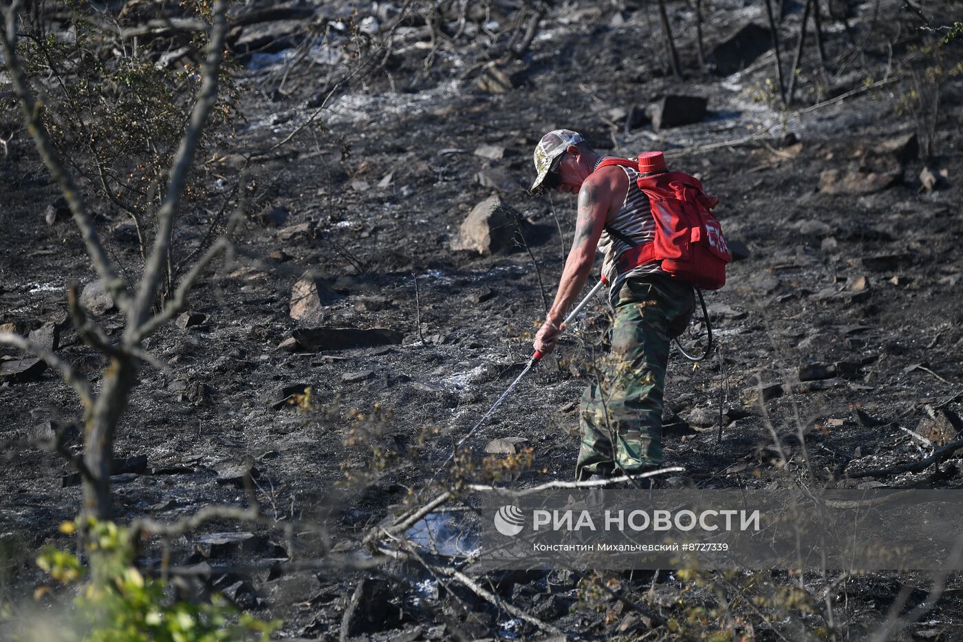 Лесной пожар в Крыму