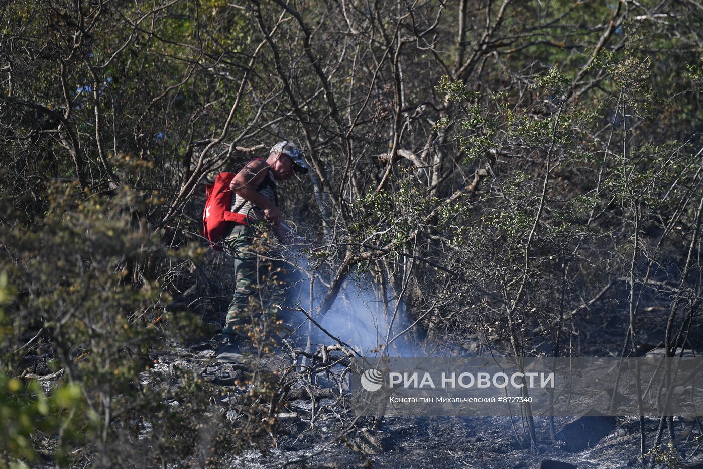 Лесной пожар в Крыму