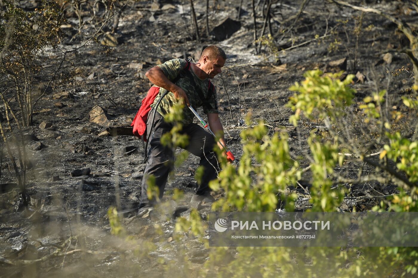 Лесной пожар в Крыму