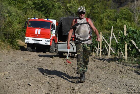 Лесной пожар в Крыму