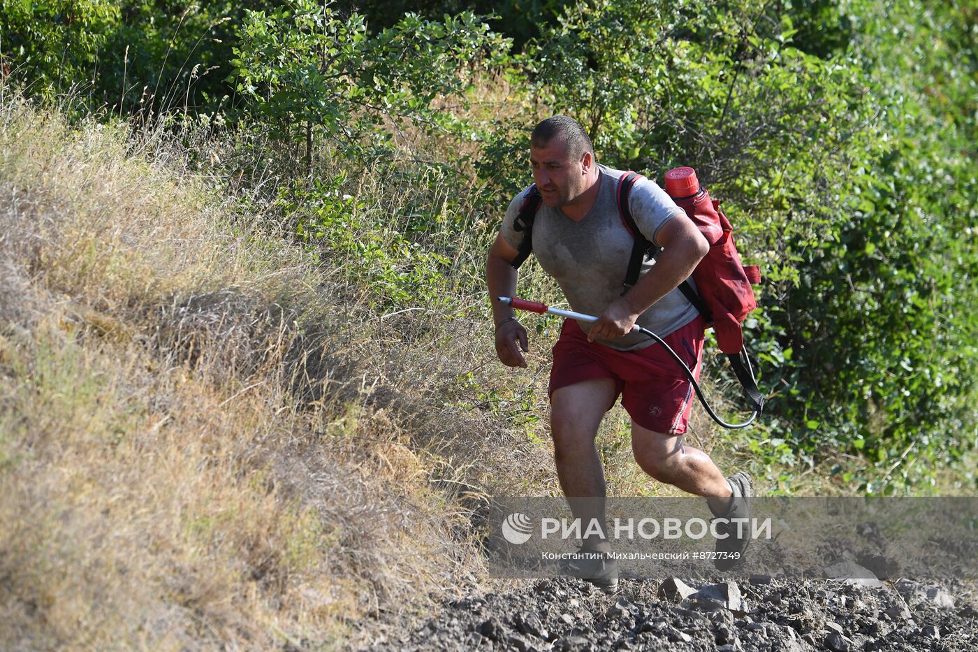 Лесной пожар в Крыму