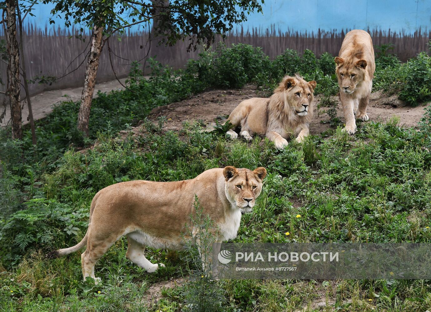 Зоопарк "Садгород" в Приморском крае