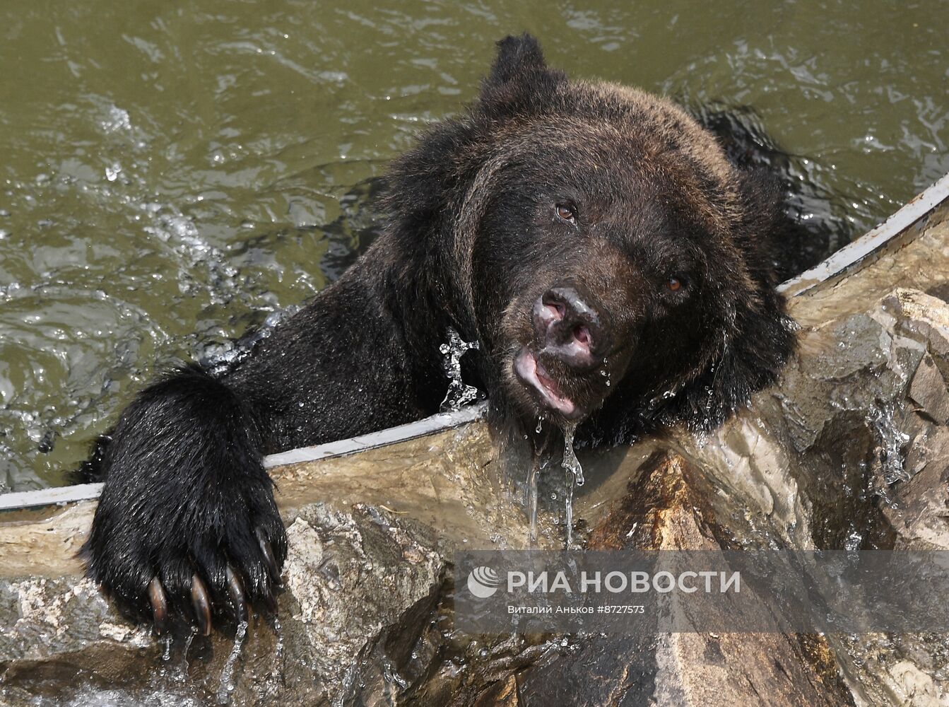 Зоопарк "Садгород" в Приморском крае