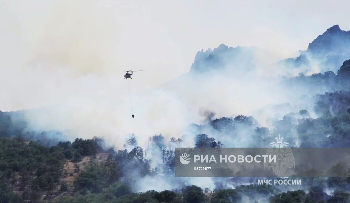 Природный пожар в Коктебеле 