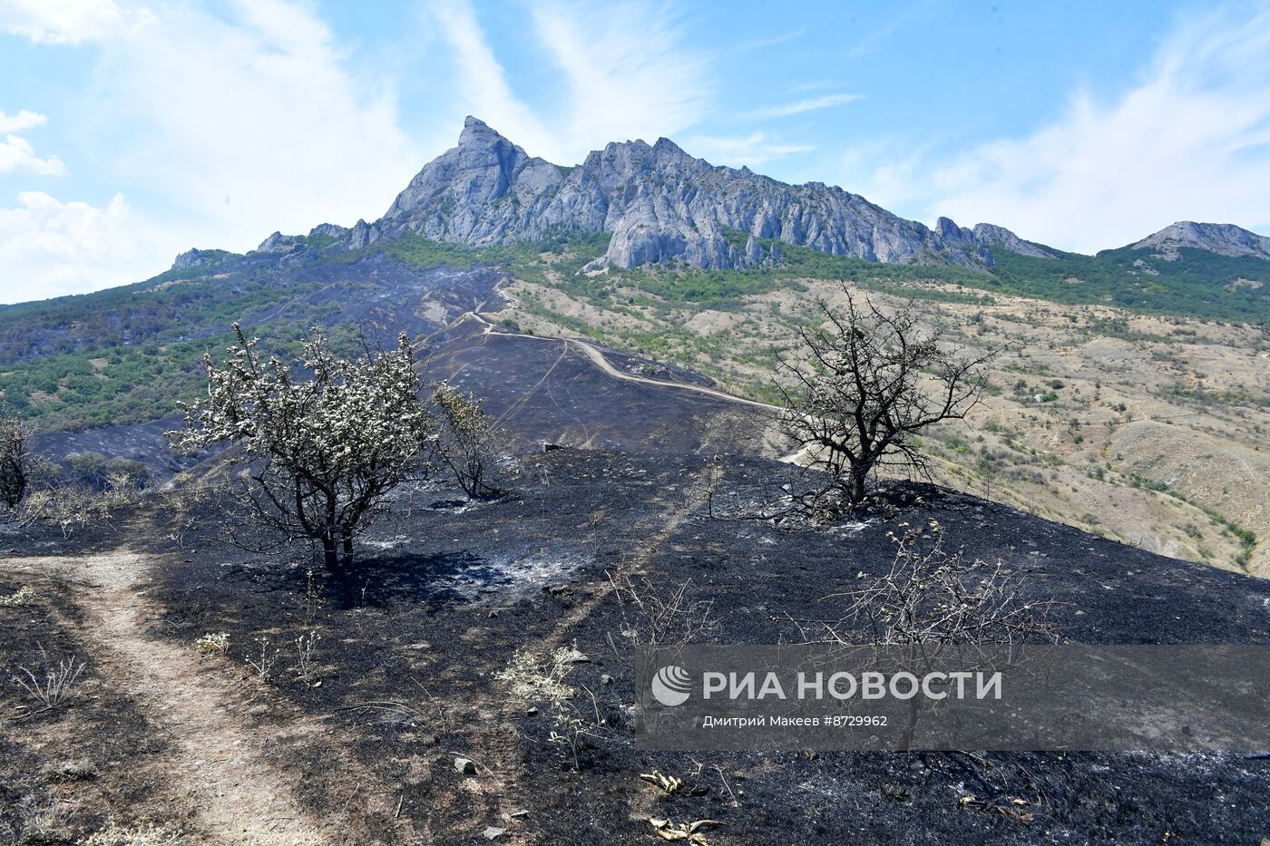 Природный пожар в Крыму