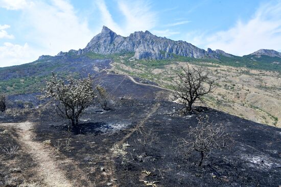 Природный пожар в Крыму