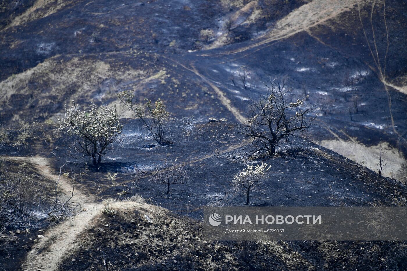 Природный пожар в Крыму