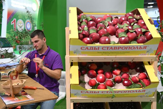 Кавказский инвестиционный форум в Грозном