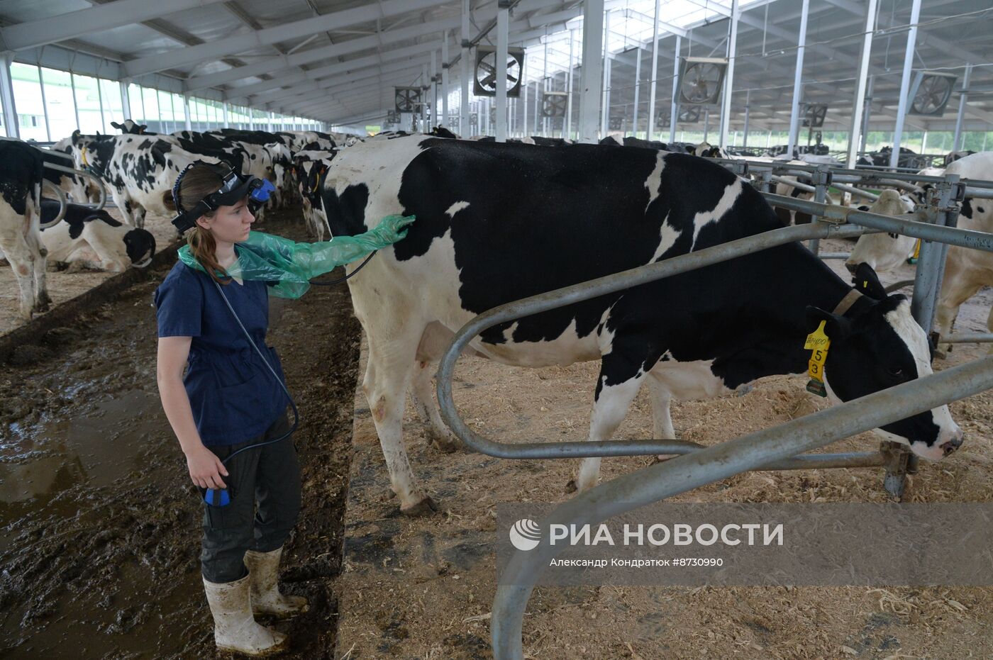 Работа сельскохозяйственного предприятия в Челябинской области