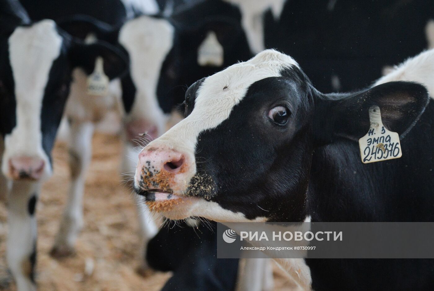 Работа сельскохозяйственного предприятия в Челябинской области