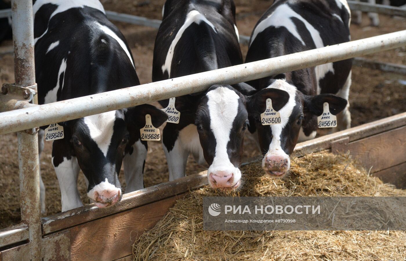 Работа сельскохозяйственного предприятия в Челябинской области