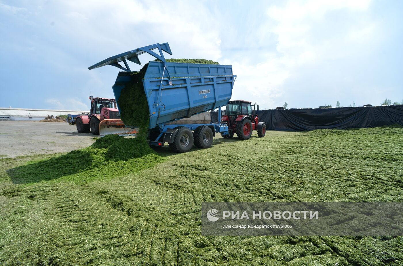 Работа сельскохозяйственного предприятия в Челябинской области