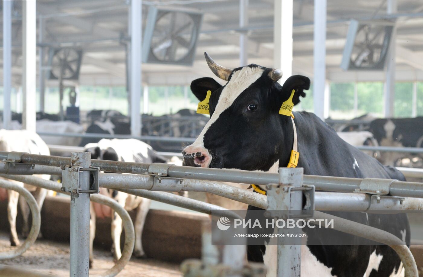 Работа сельскохозяйственного предприятия в Челябинской области