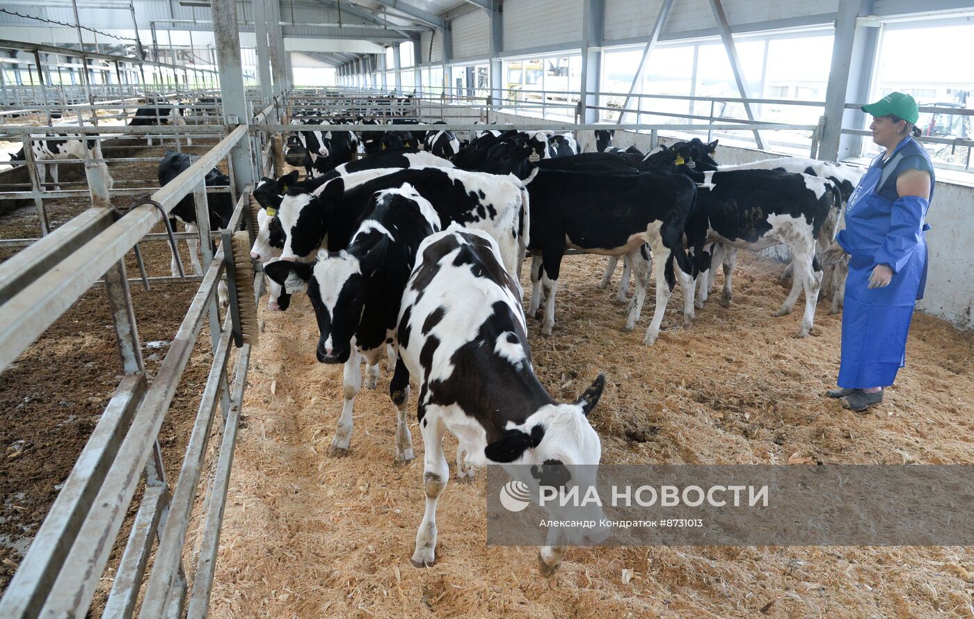 Работа сельскохозяйственного предприятия в Челябинской области