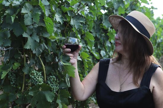 Производство вина в Ставропольском крае