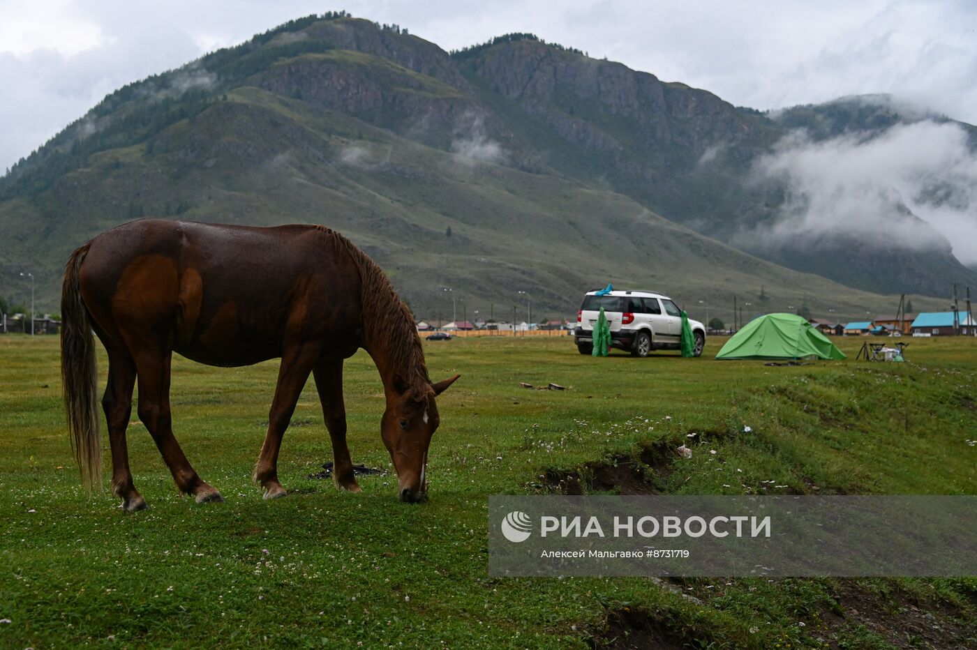 Регионы России. Республика Алтай