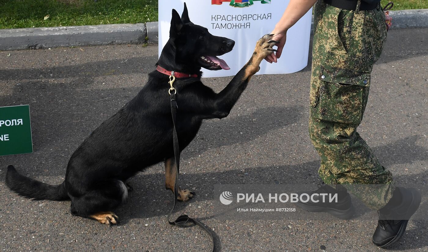 Патриотический фестиваль в Красноярске