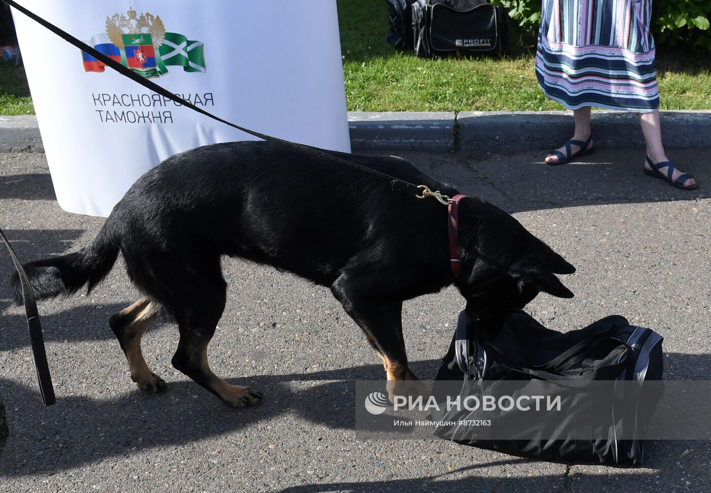 Патриотический фестиваль в Красноярске