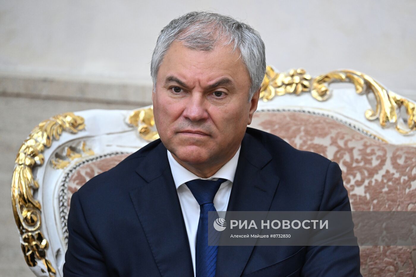 Визит председателя Госдумы РФ В. Володина в Алжир