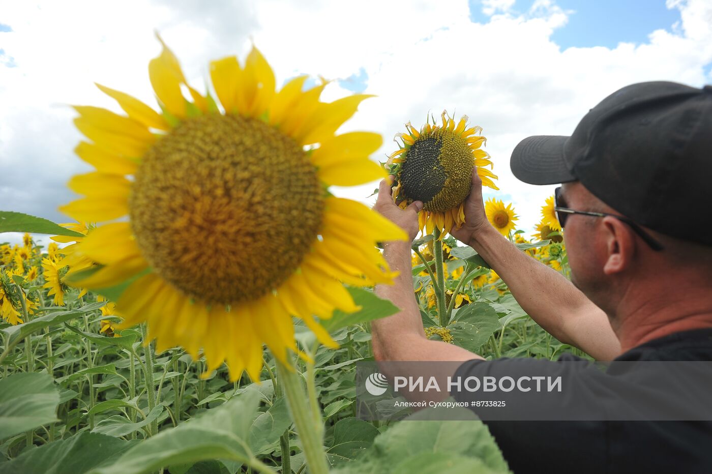 Работа предприятия АО "Дубовое" в Тамбовской области