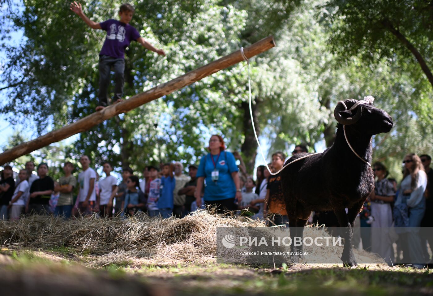 Праздник "Сабантуй" в Омске