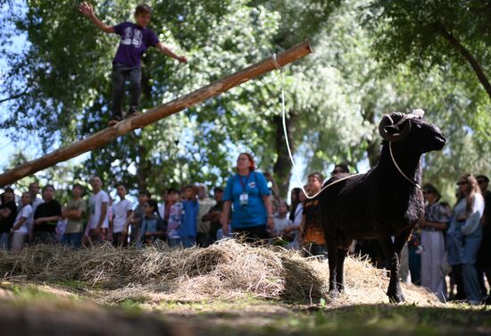 Праздник "Сабантуй" в Омске