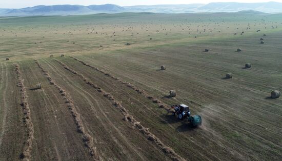 Заготовка кормов в Хакасии