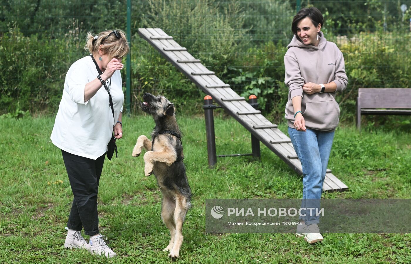 Приют для животных в Зеленограде