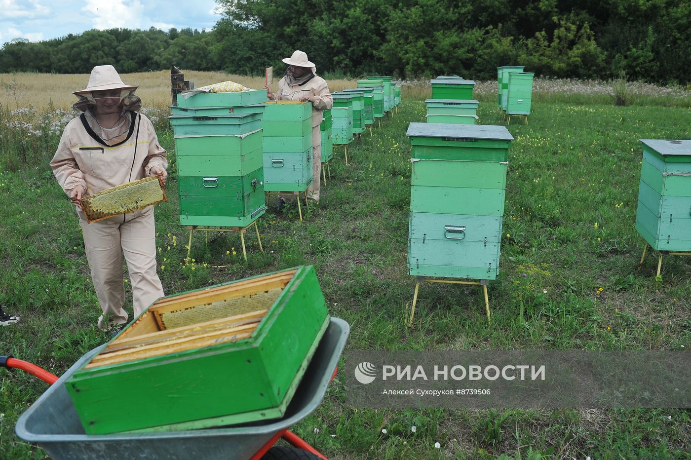 Пасека в Тамбовской области