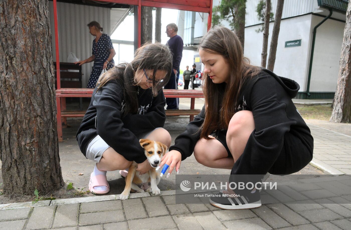 Пункты временного размещения в Курске