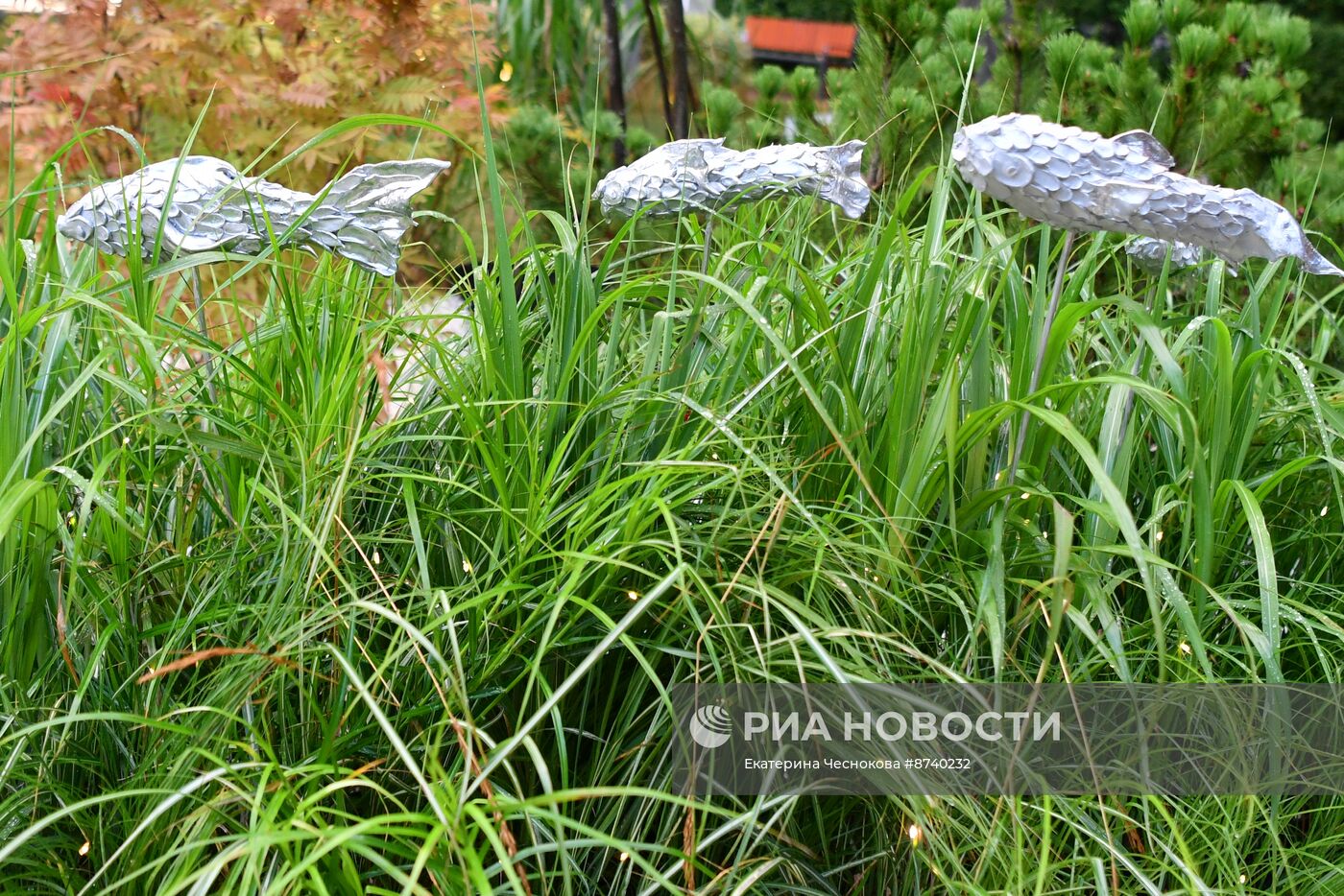 Открытие X Московского международного фестиваля "Сады и люди"