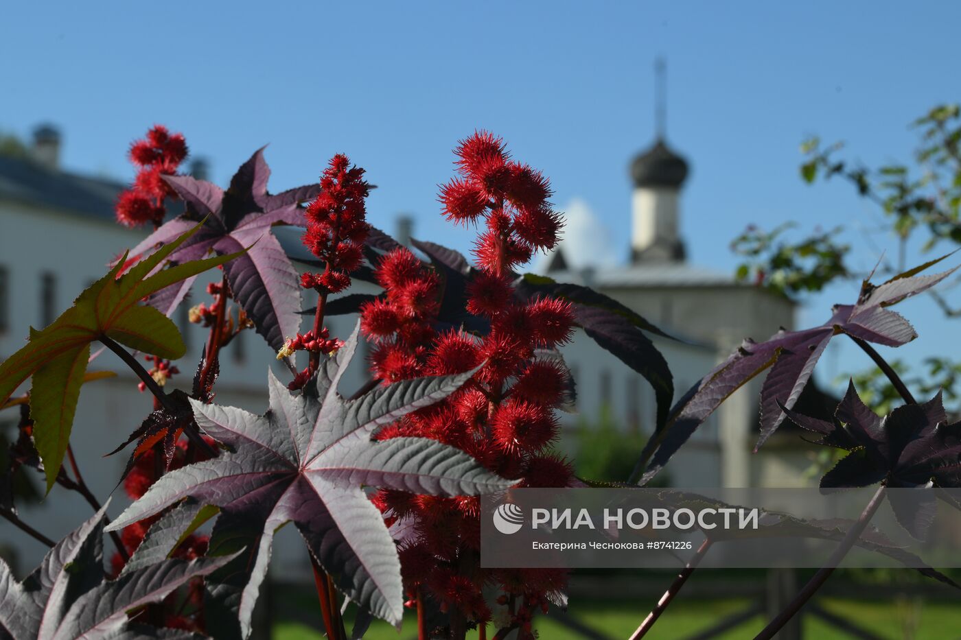 Празднование 1000-летия Суздаля