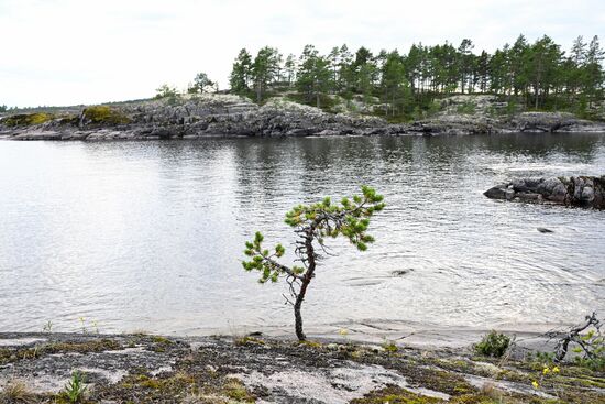 Национальный парк "Ладожские шхеры"
