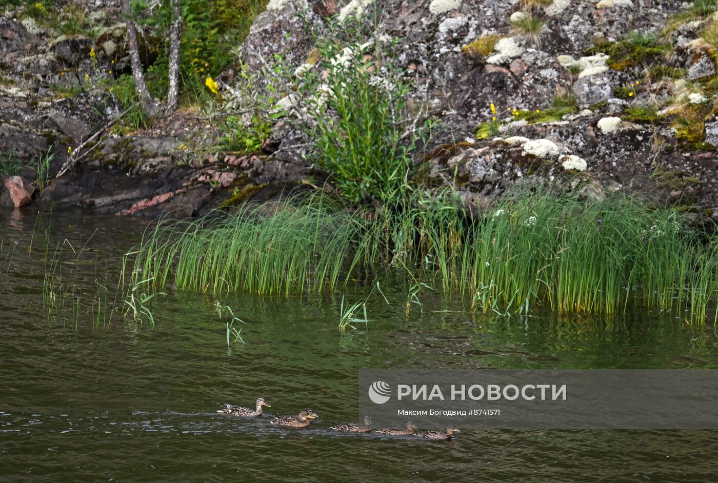 Национальный парк "Ладожские шхеры"