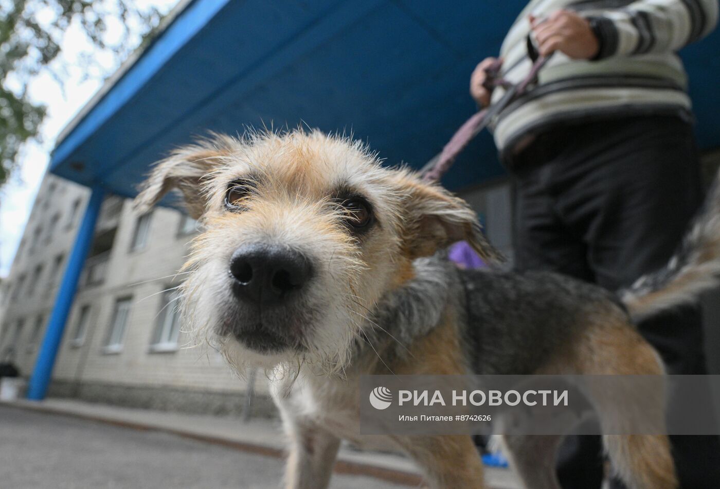 Пункт временного размещения эвакуированных в Курской области