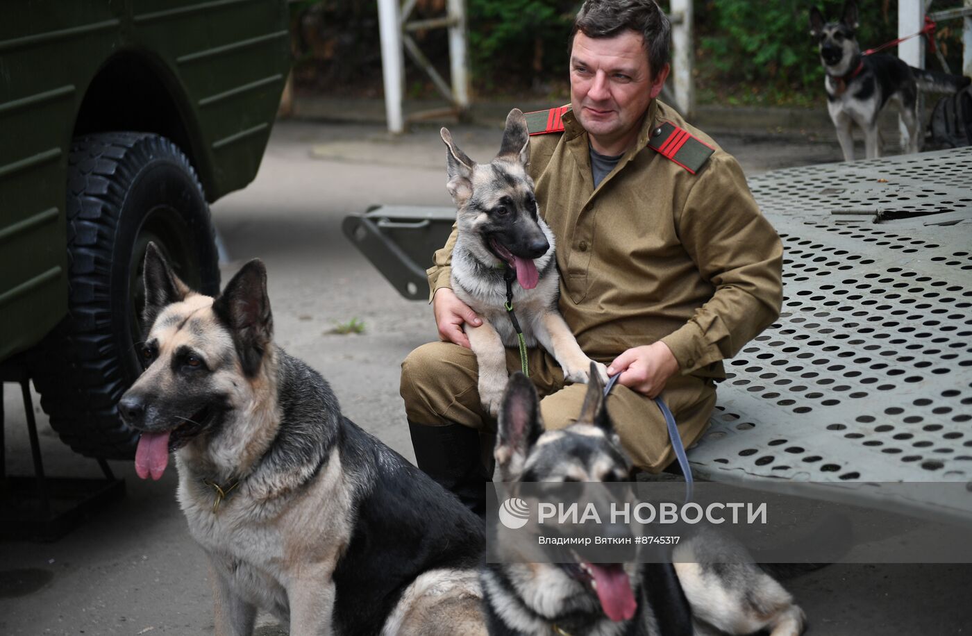 Фестиваль "День фронтовой собаки"
