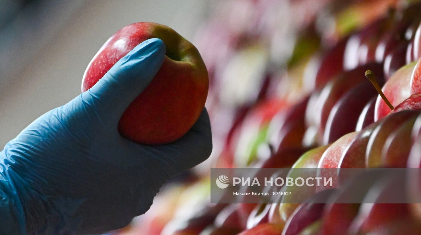 Сельскохозяйственное предприятие ООО "Агро-07" в Кабардино-Балкарии