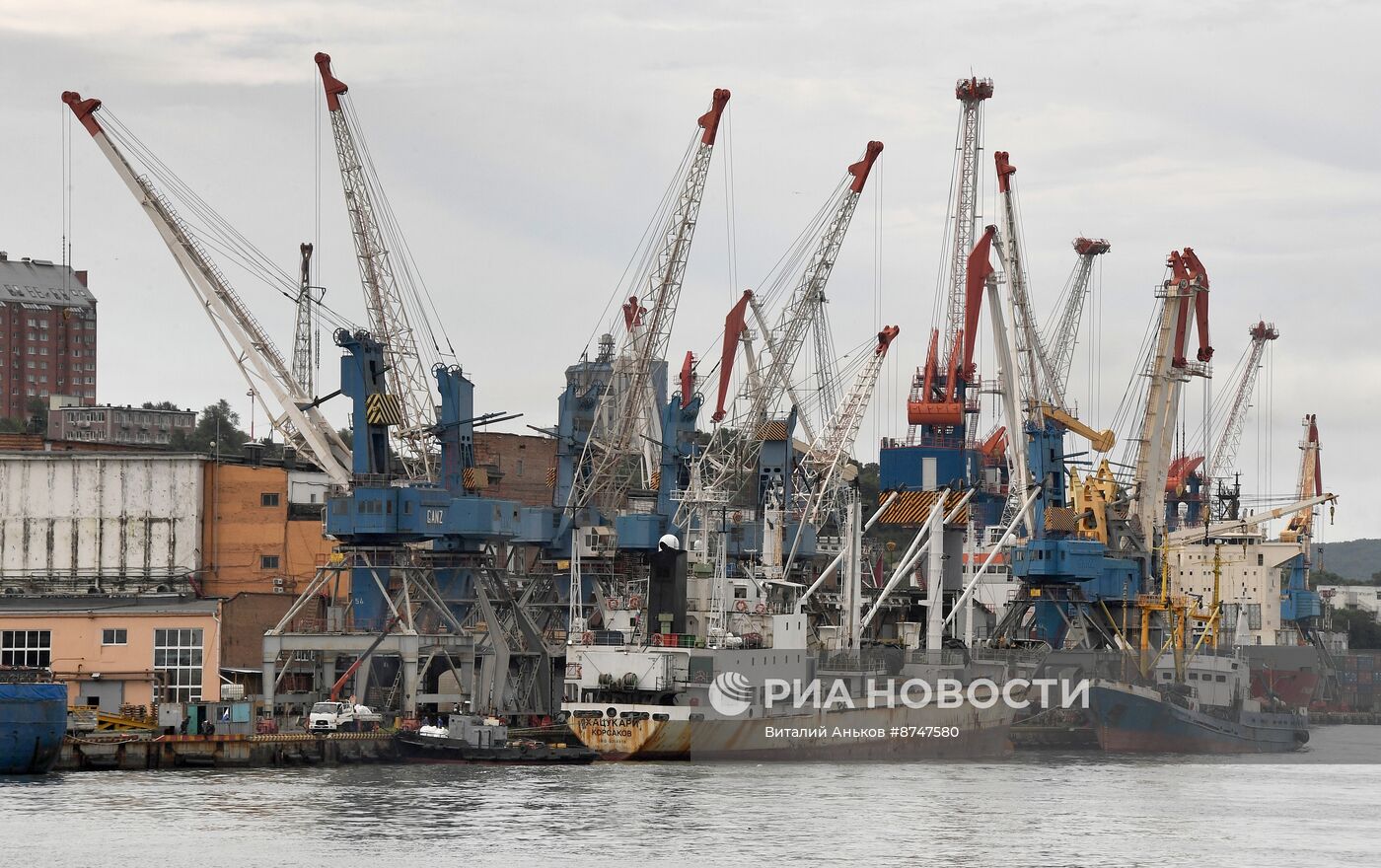 Города России. Владивосток