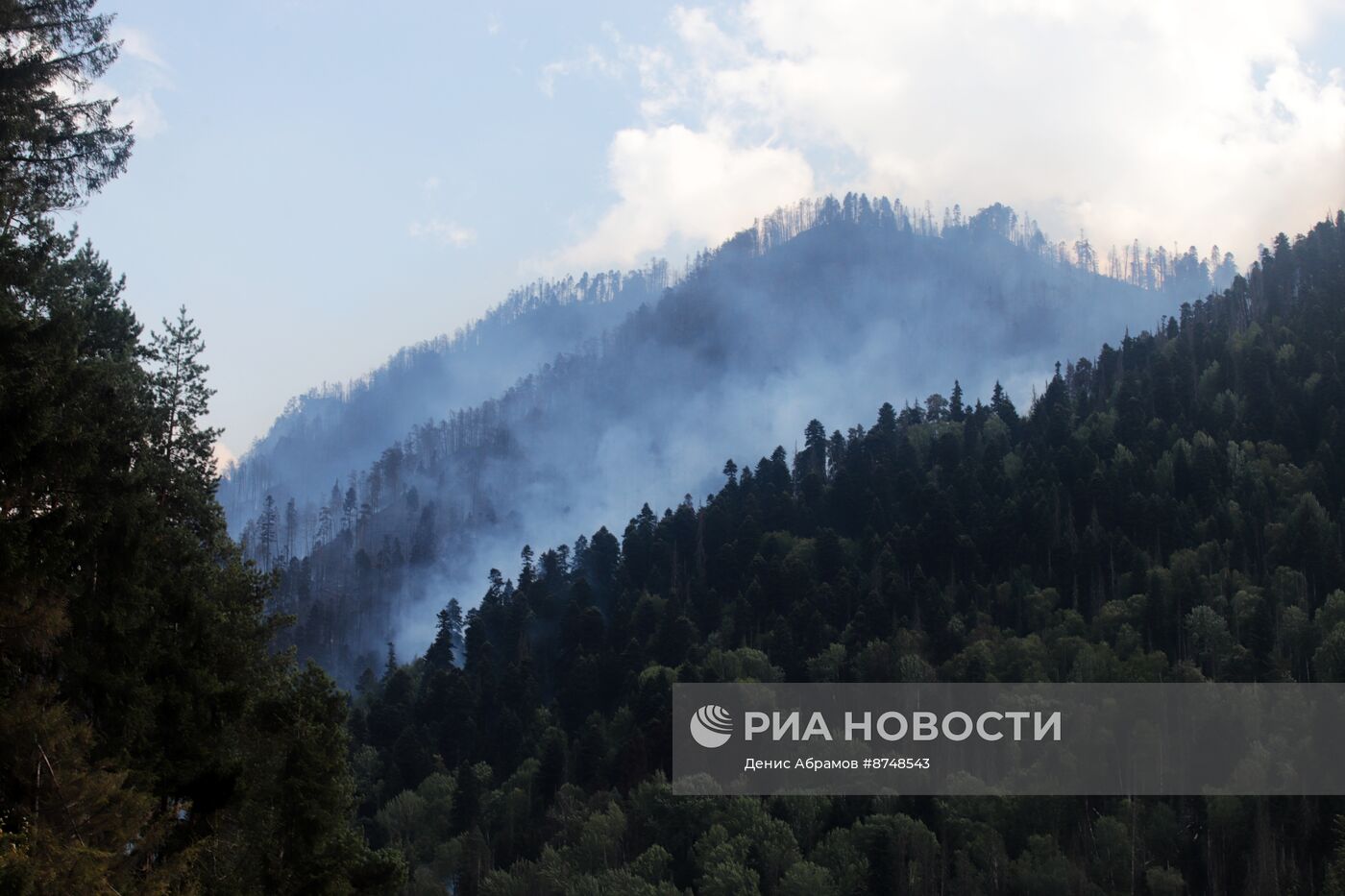 Пожар в Гоначхирском ущелье в Карачаево-Черкесии